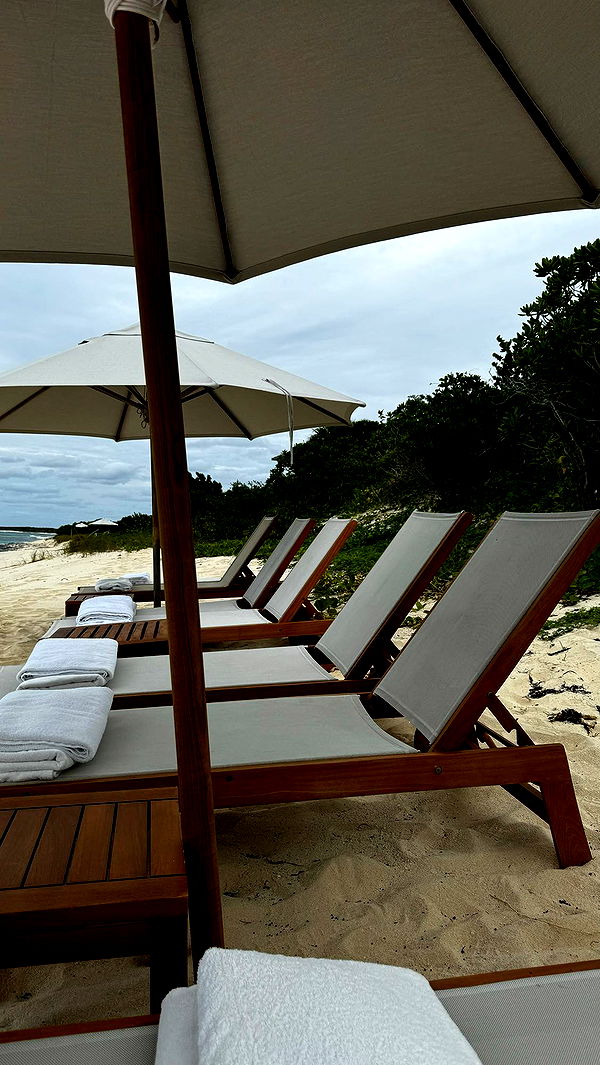 sophieraiin image ~ Altpins