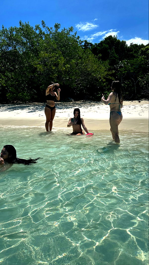 sophieraiin image ~ Altpins