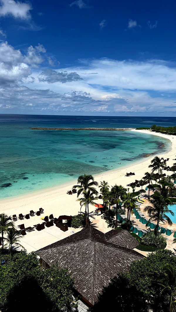 sophieraiin image ~ Altpins