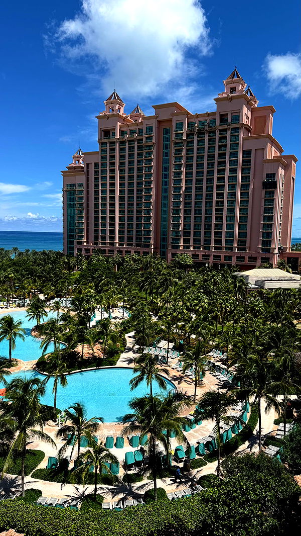 sophieraiin image ~ Altpins