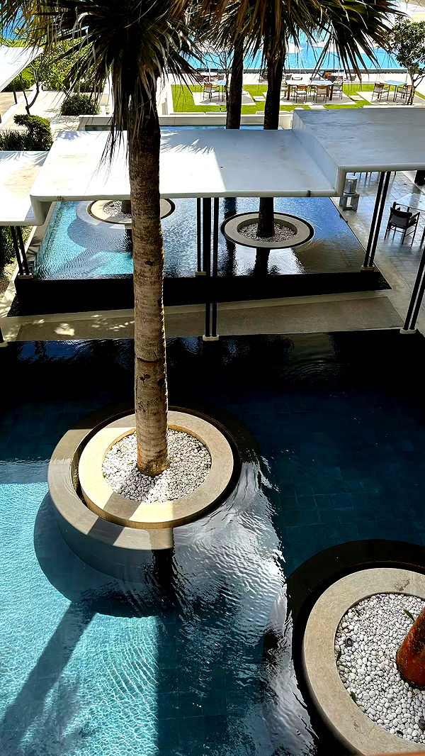 sophieraiin image ~ Altpins