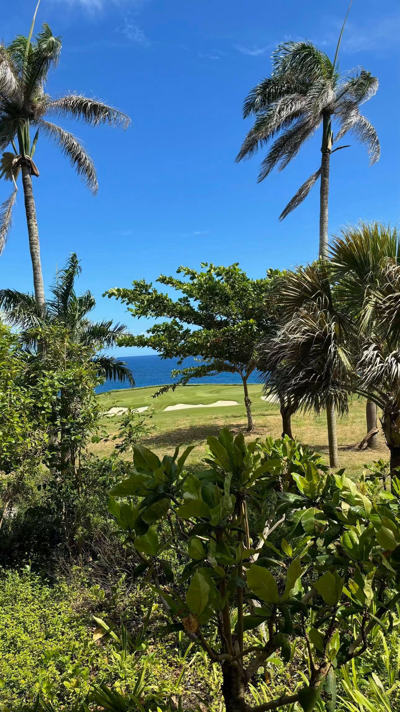 sophieraiin snapchat image archive image