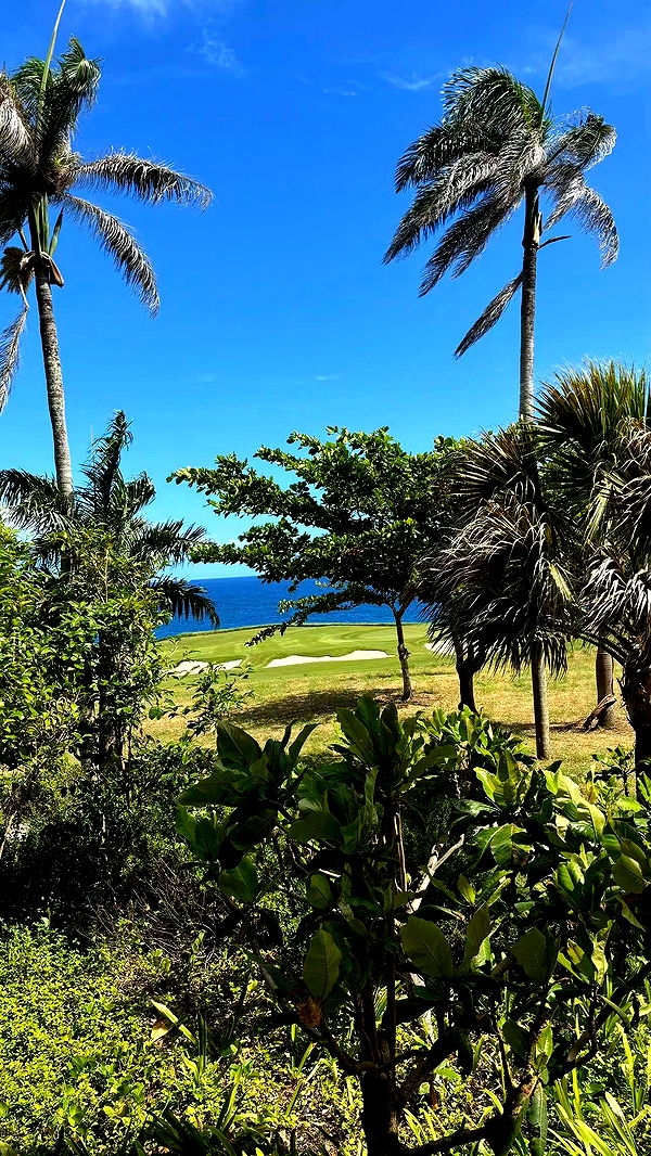 sophieraiin image ~ Altpins