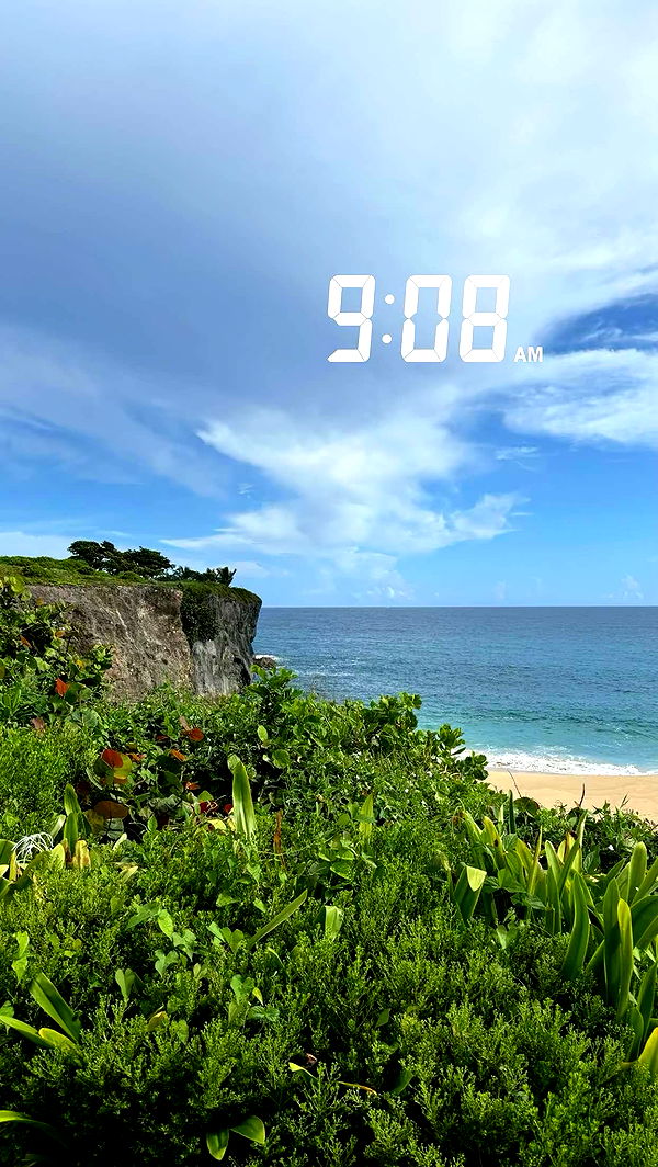 sophieraiin image ~ Altpins