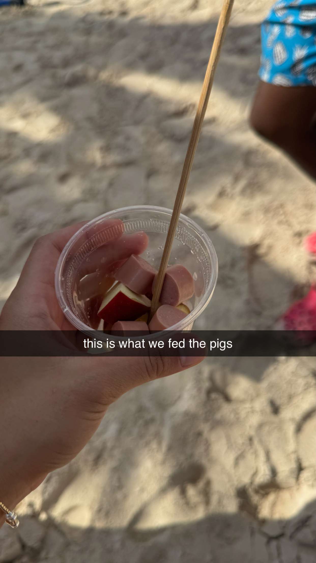 sophieraiin snapchat image archive image