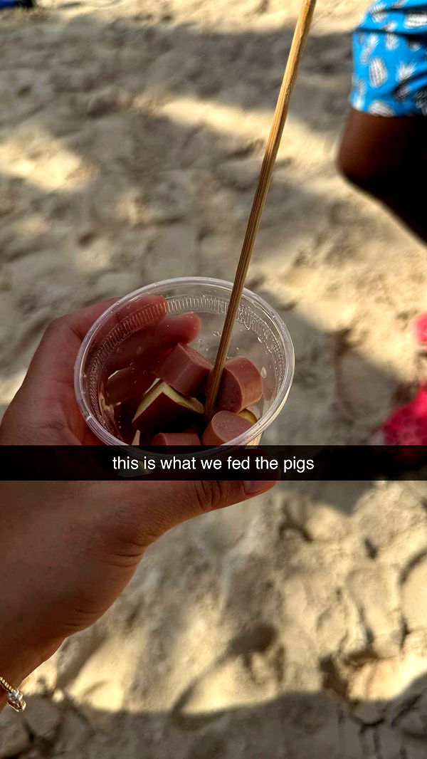 sophieraiin image ~ Altpins