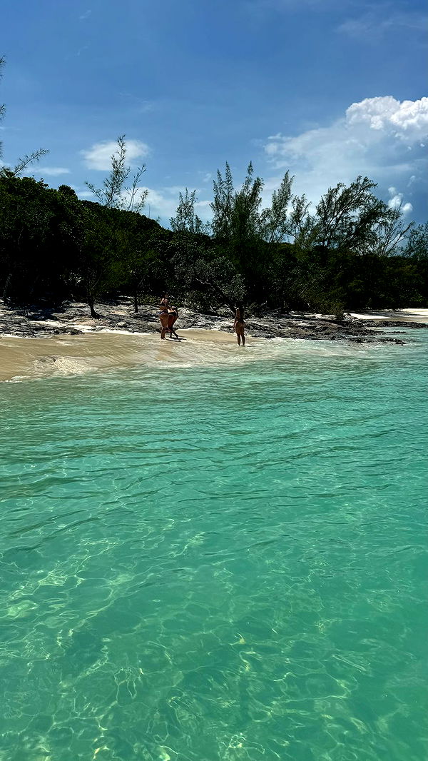 sophieraiin image ~ Altpins