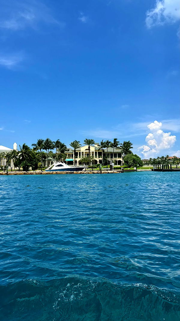 sophieraiin image ~ Altpins