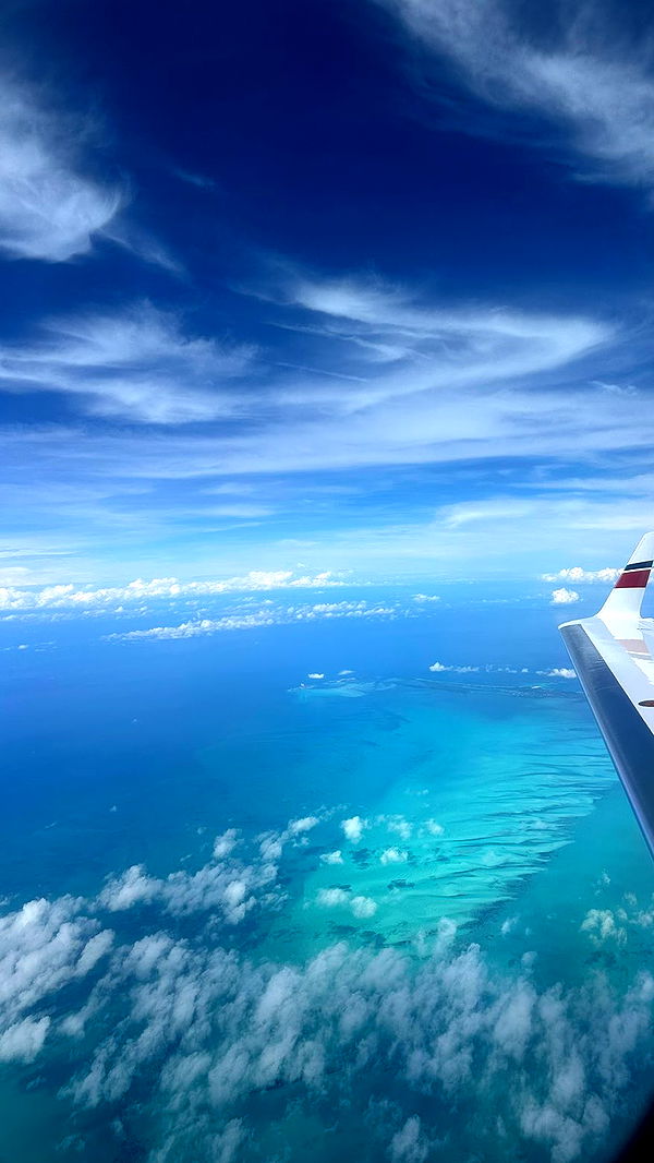 sophieraiin image ~ Altpins