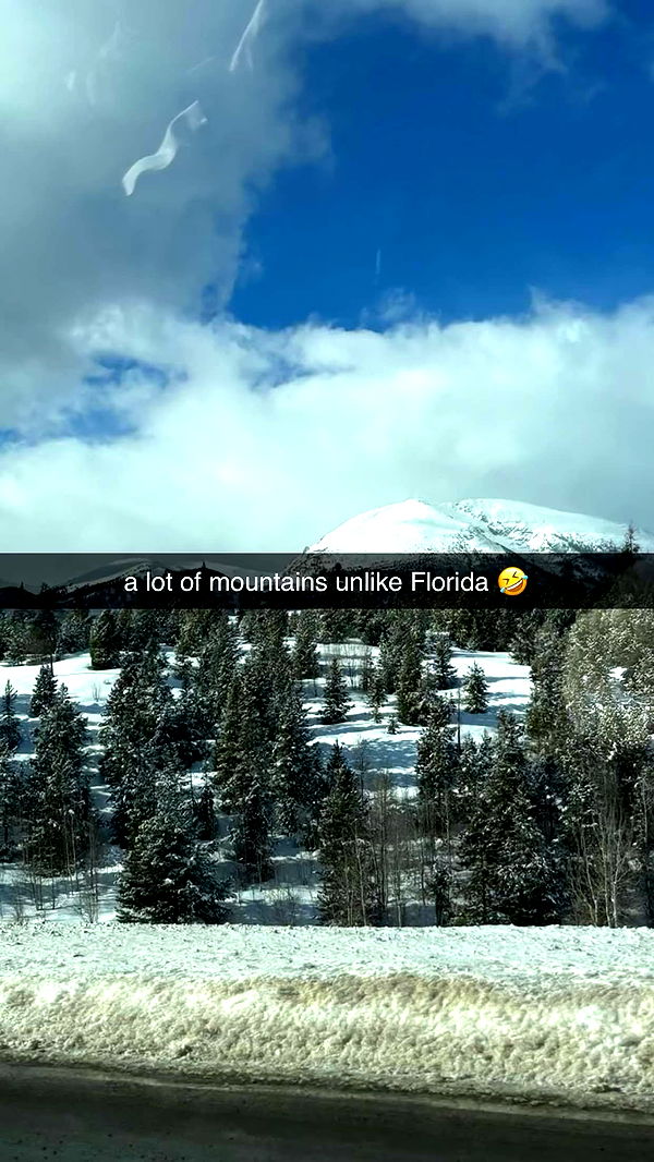 sophieraiin image ~ Altpins