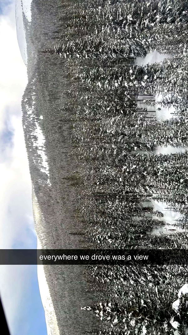 sophieraiin image ~ Altpins