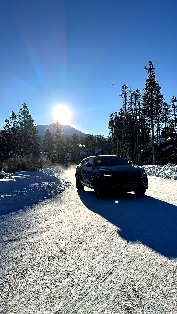 sophieraiin image ~ Altpins