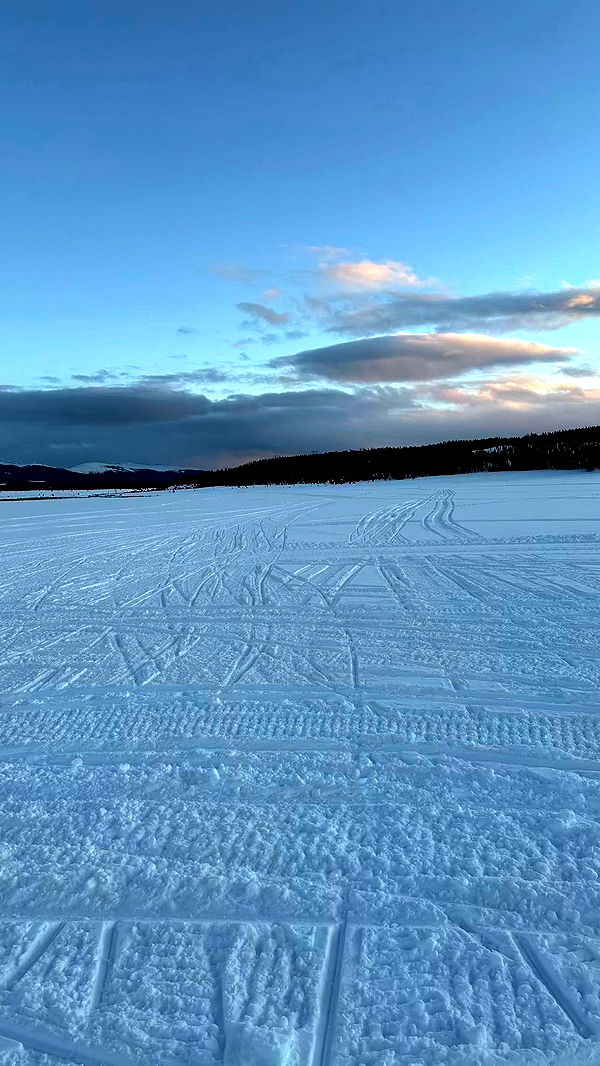 sophieraiin image ~ Altpins