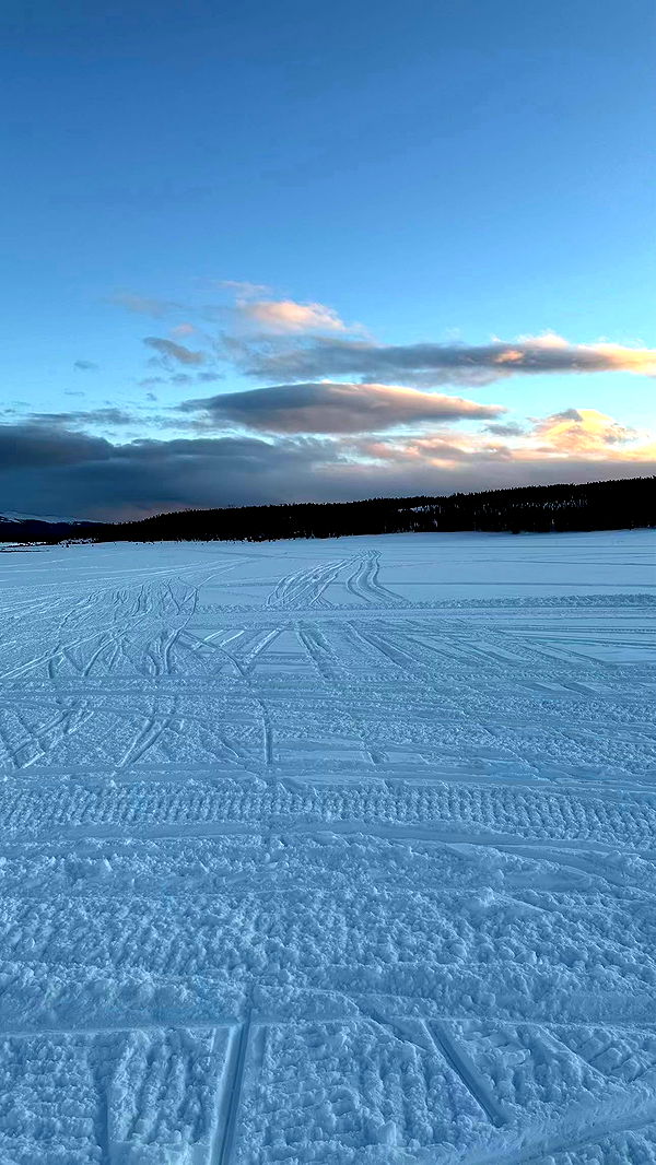 sophieraiin image ~ Altpins