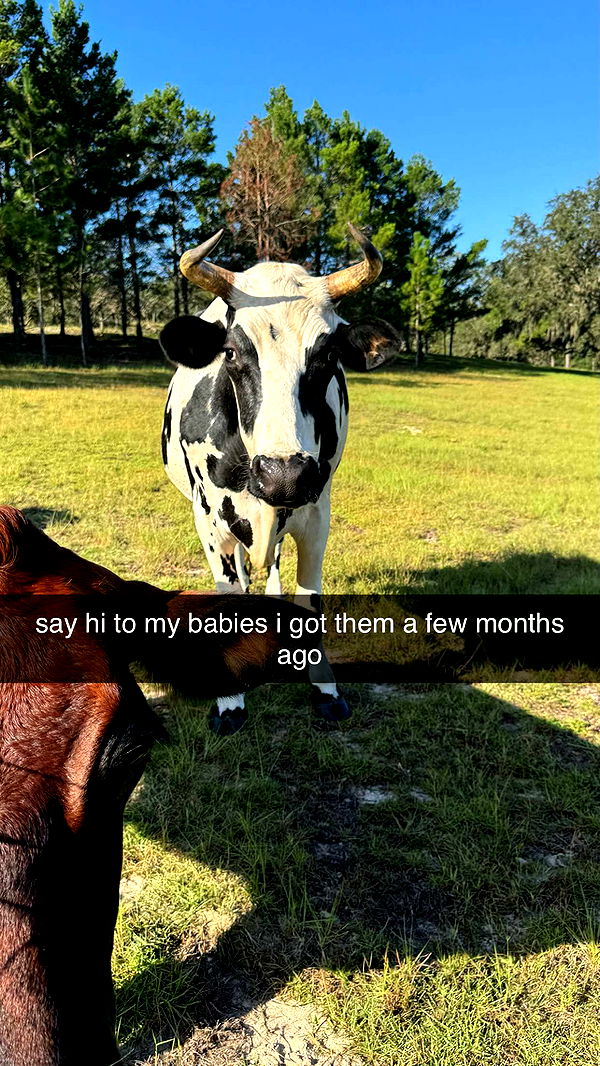 sophieraiin image ~ Altpins