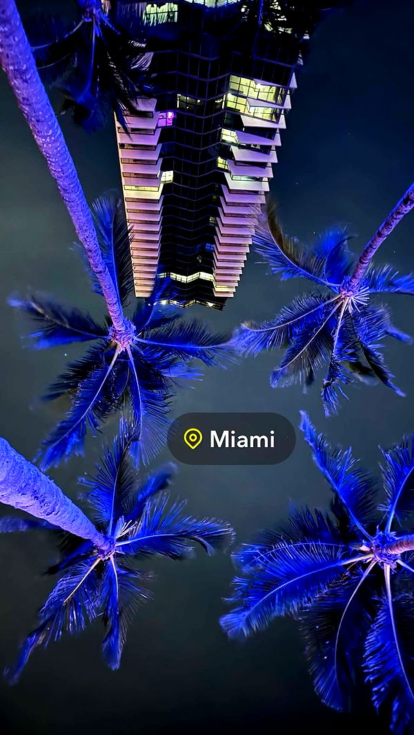 sophieraiin image ~ Altpins