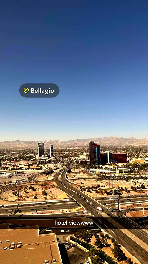 sophieraiin image ~ Altpins