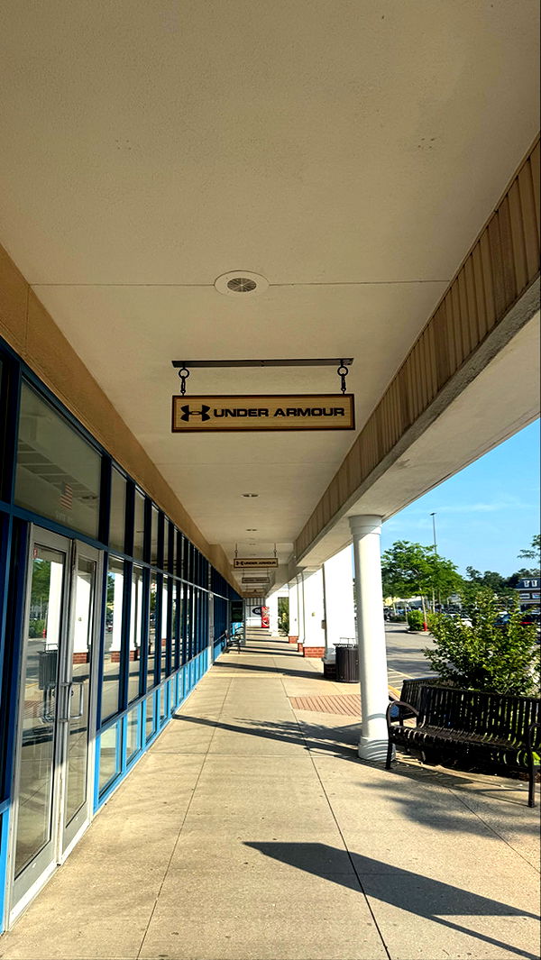 sophieraiin image ~ Altpins