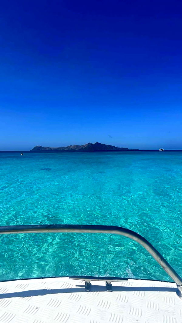 sophieraiin image ~ Altpins