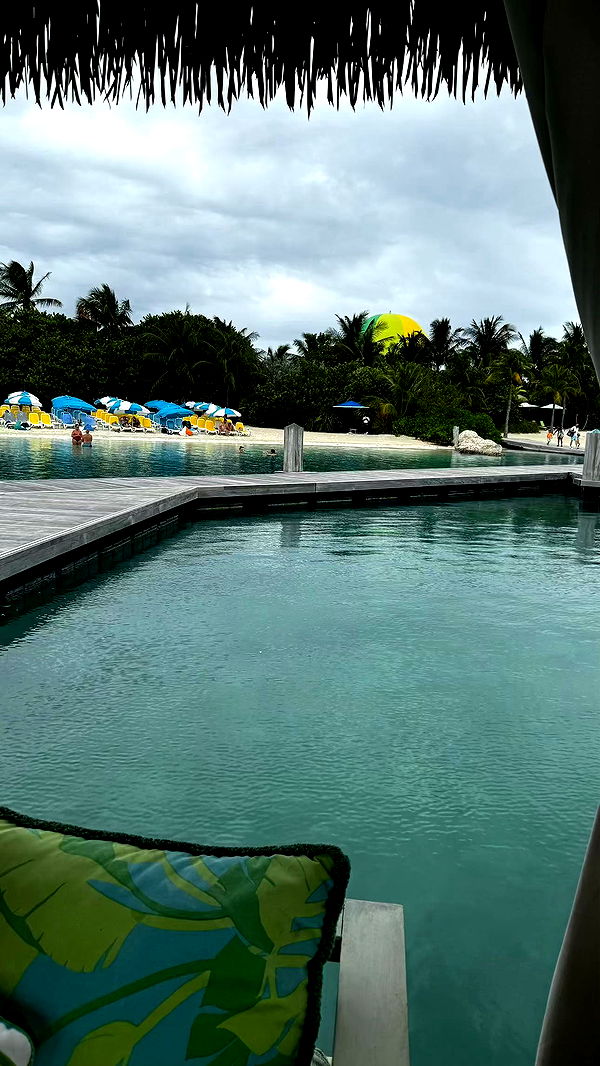 sophieraiin image ~ Altpins