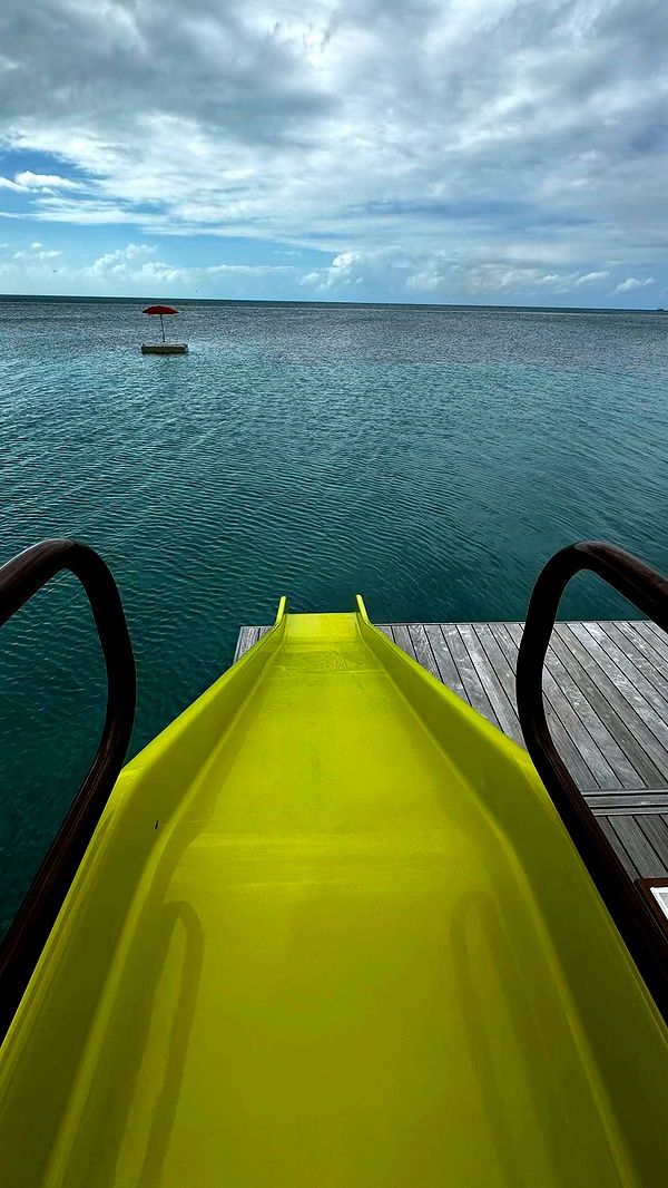 sophieraiin image ~ Altpins