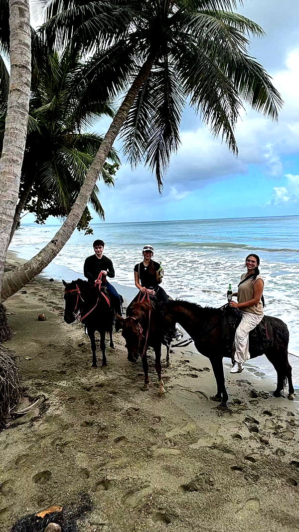 sophieraiin image ~ Altpins