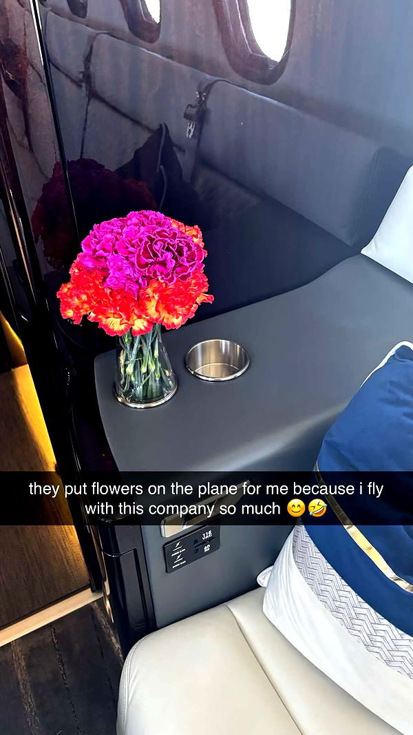 sophieraiin image ~ Altpins