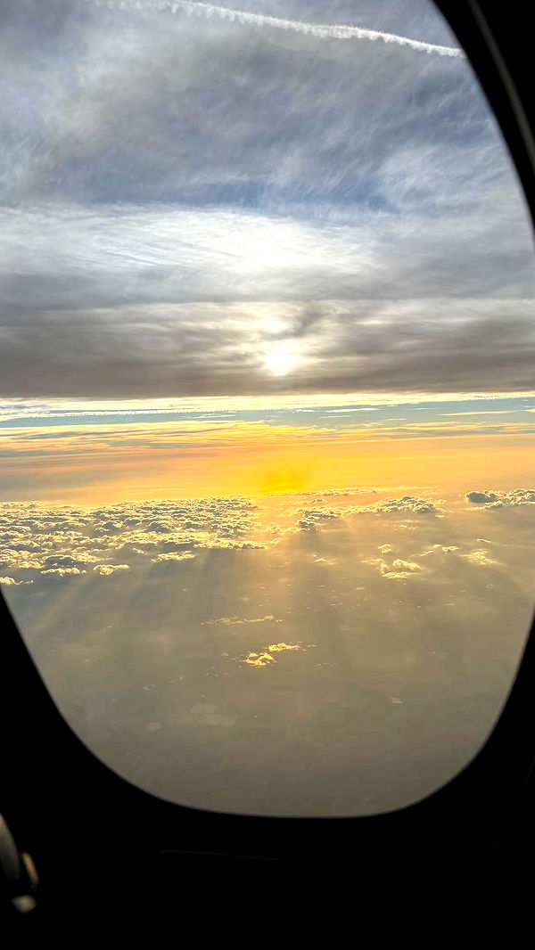 sophieraiin image ~ Altpins