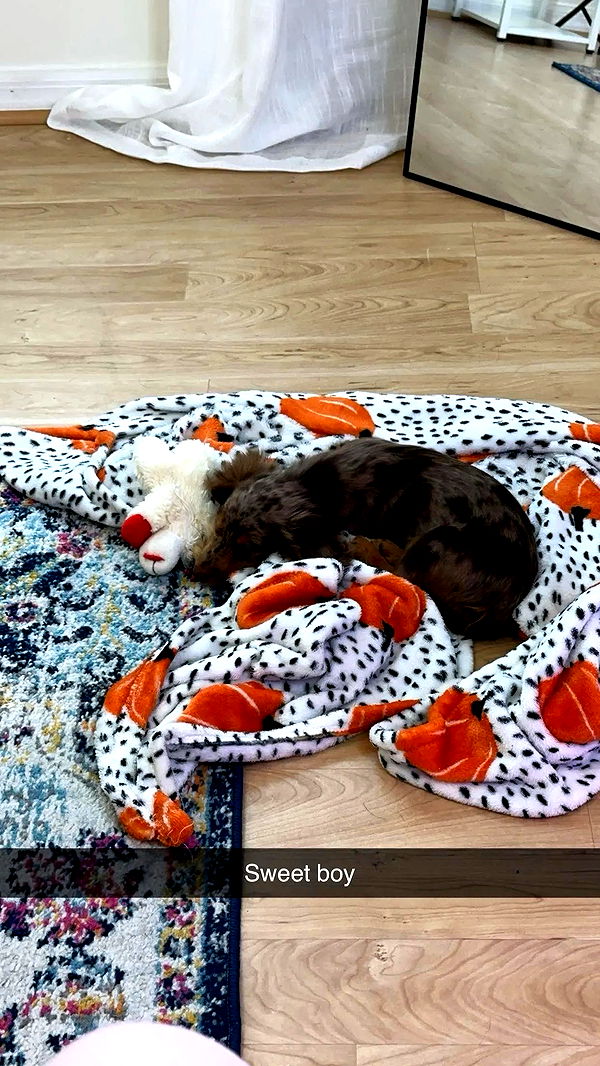 sophieraiin image ~ Altpins