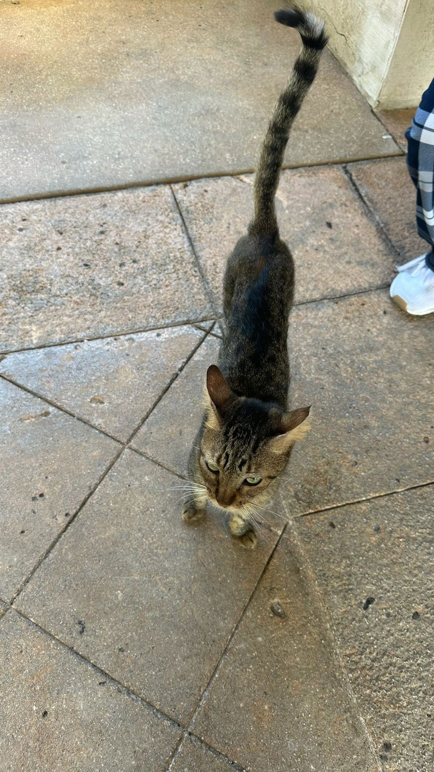 sophieraiin snapchat image archive image