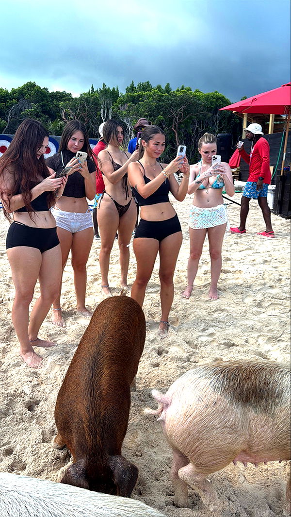 sophieraiin image ~ Altpins