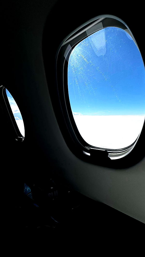 sophieraiin image ~ Altpins