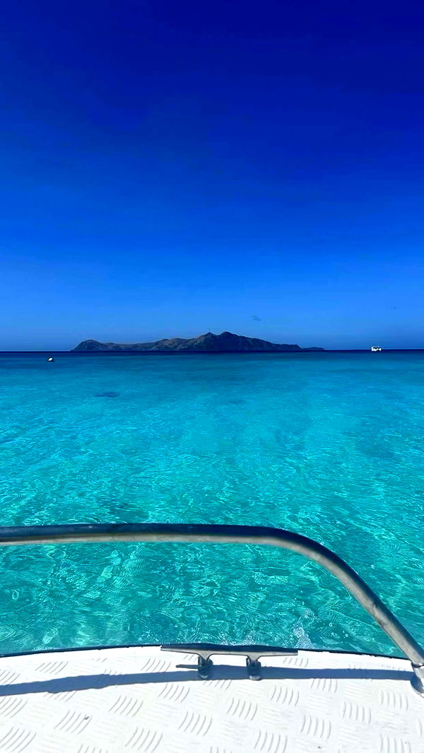 sophieraiin image ~ Altpins