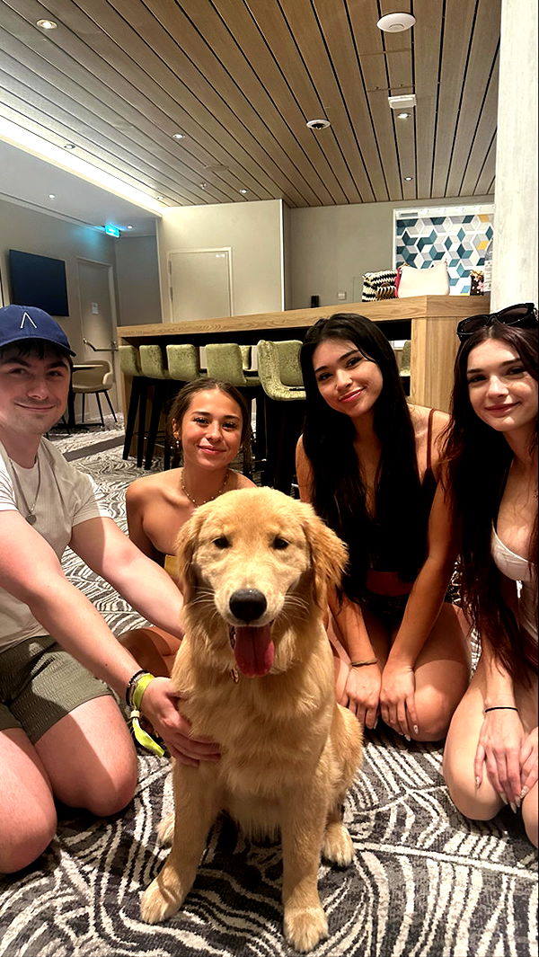 sophieraiin image ~ Altpins