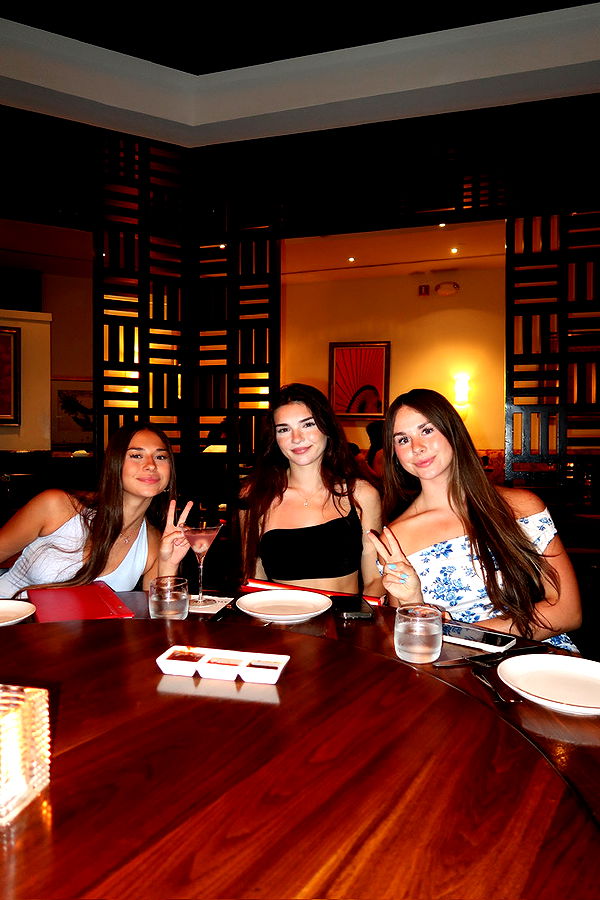 sophieraiin image ~ Altpins