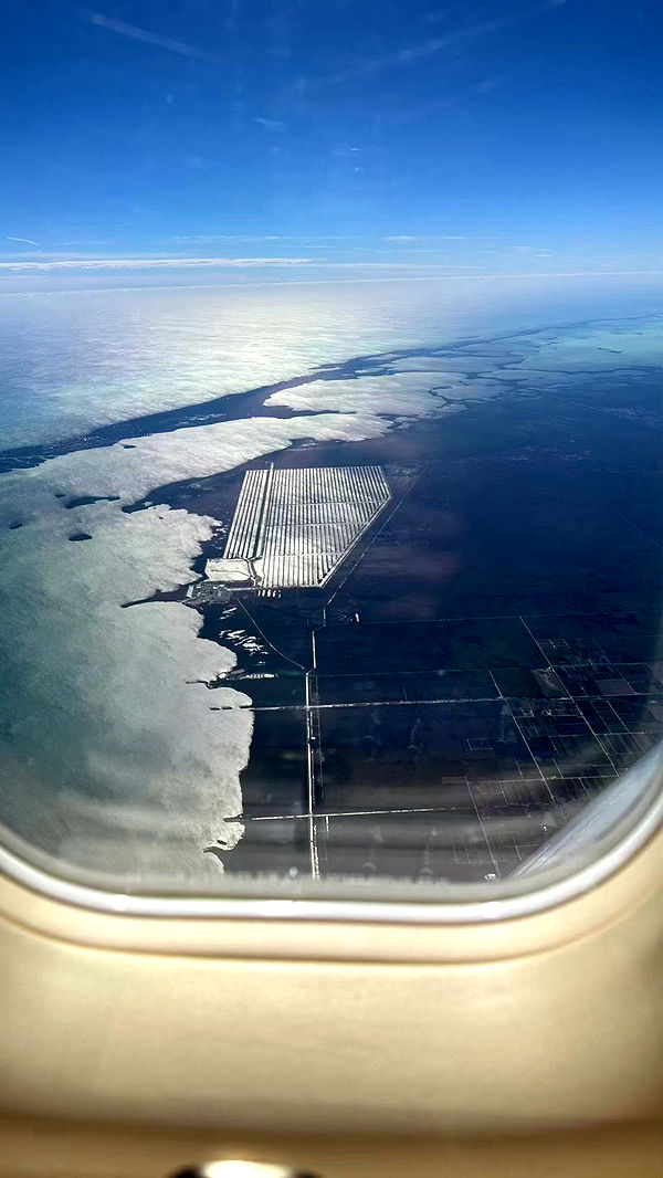 sophieraiin image ~ Altpins