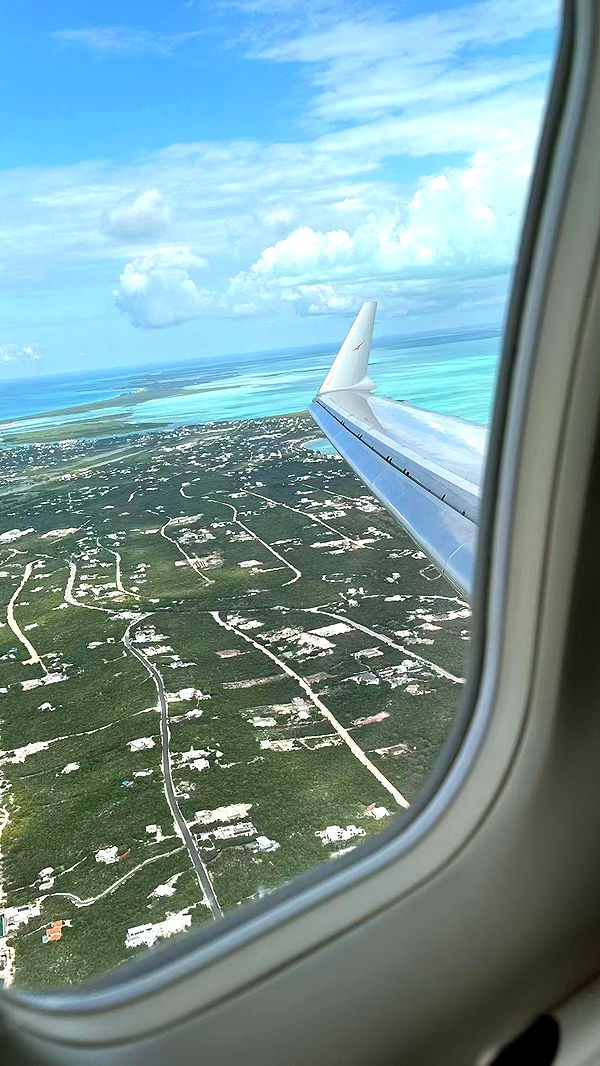 sophieraiin image ~ Altpins