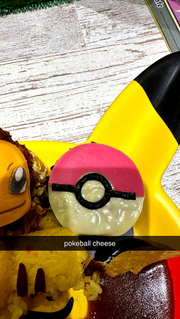 sophieraiin image ~ Altpins