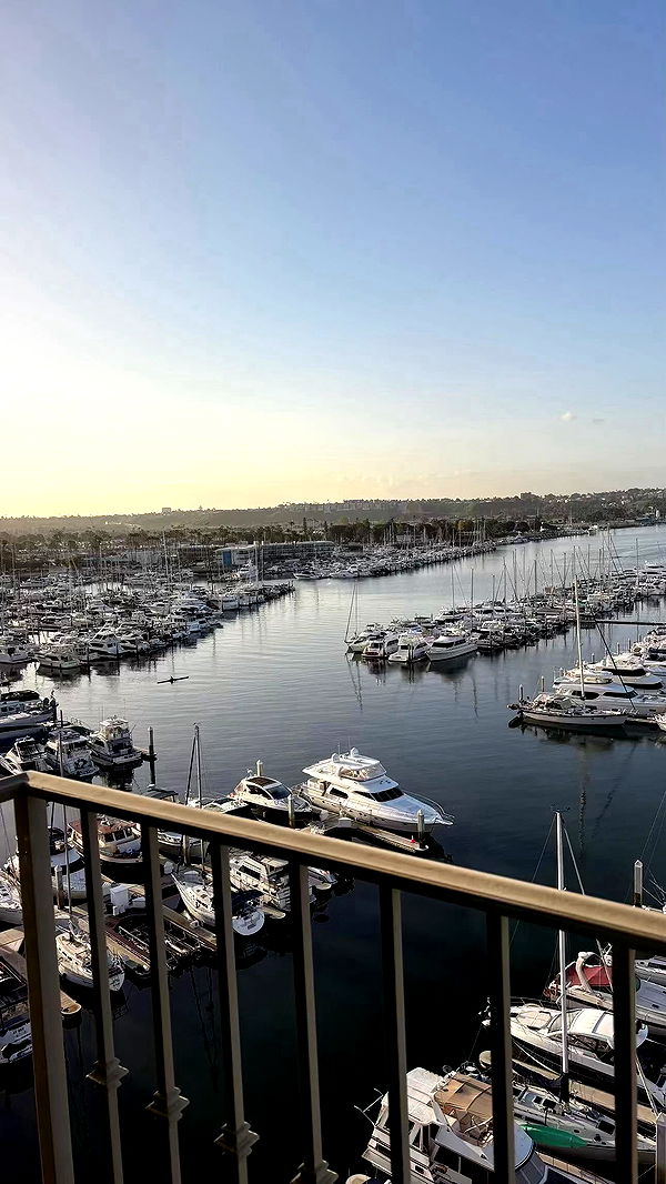 sophieraiin image ~ Altpins