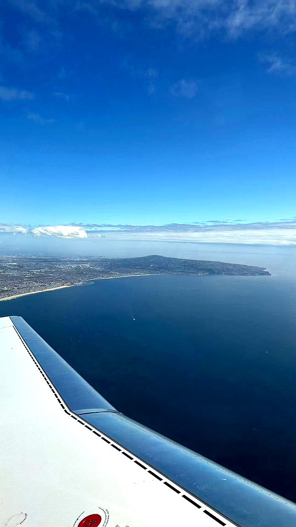 sophieraiin image ~ Altpins