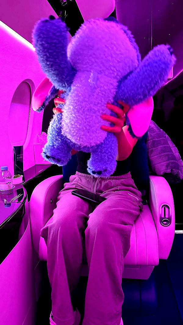 sophieraiin image ~ Altpins