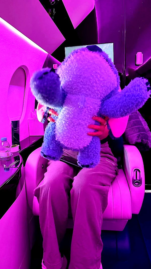 sophieraiin image ~ Altpins