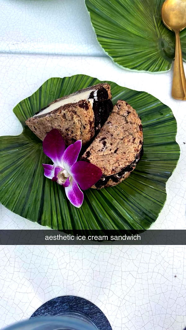 sophieraiin image ~ Altpins