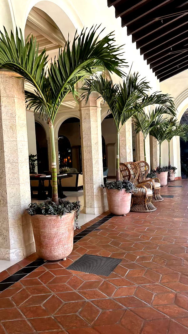 sophieraiin image ~ Altpins