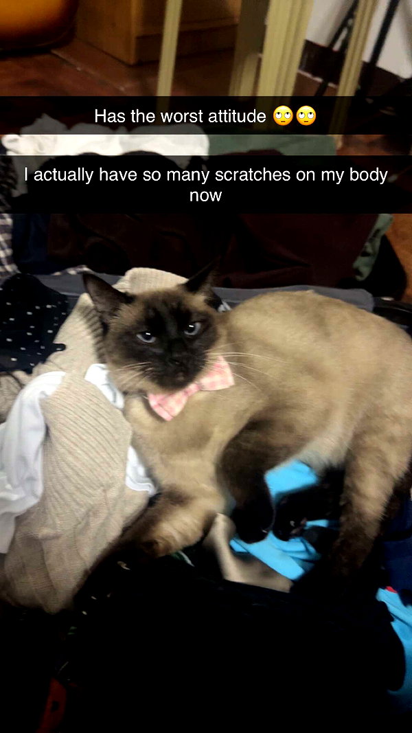 stefaniedra6 snapchat image archive image