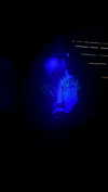 stefaniedra6 Altpins Profile Picture