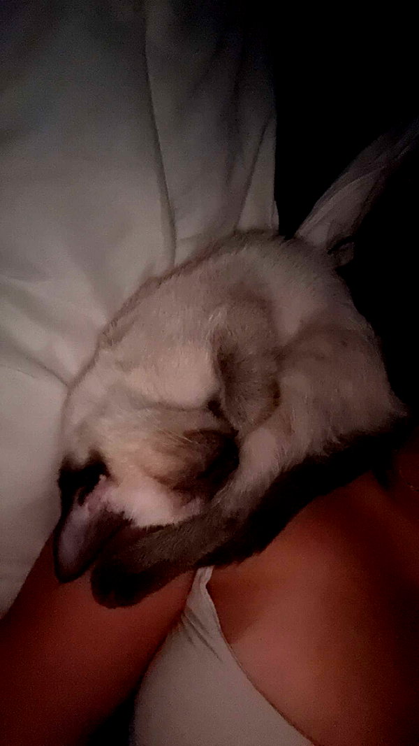stefaniedra6 snapchat image archive image