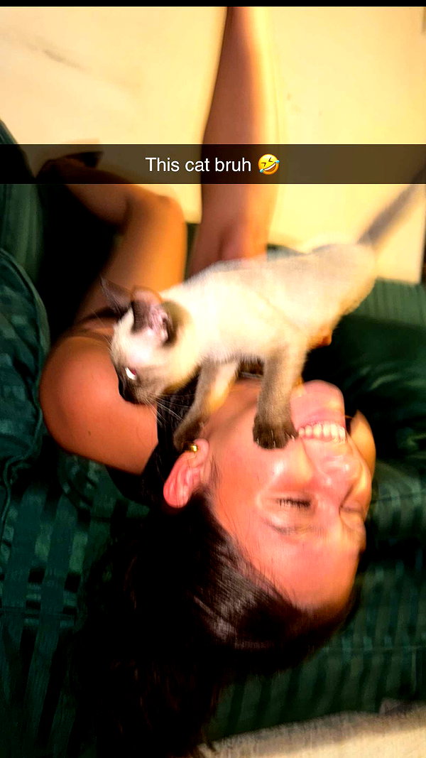 stefaniedra6 snapchat image archive image