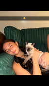 stefaniedra6 Altpins Profile Picture