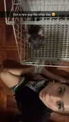 stefaniedra6 Altpins Profile Picture